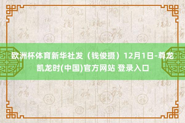 欧洲杯体育 新华社发(钱俊摄) 12月1日-尊龙凯龙时(中国)官方网站 登录入口