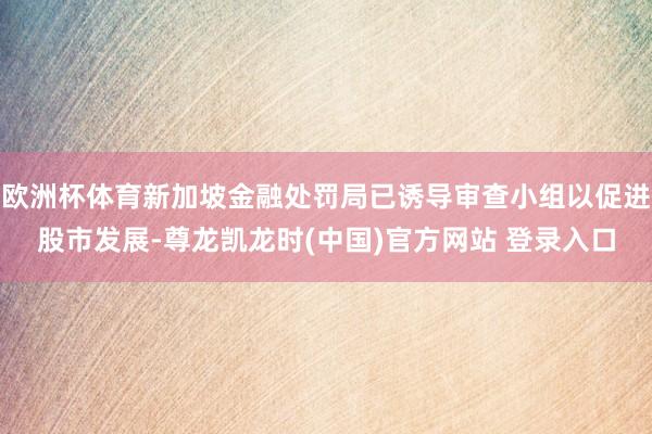 欧洲杯体育新加坡金融处罚局已诱导审查小组以促进股市发展-尊龙凯龙时(中国)官方网站 登录入口
