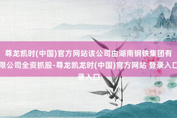 尊龙凯时(中国)官方网站该公司由湖南钢铁集团有限公司全资抓股-尊龙凯龙时(中国)官方网站 登录入口