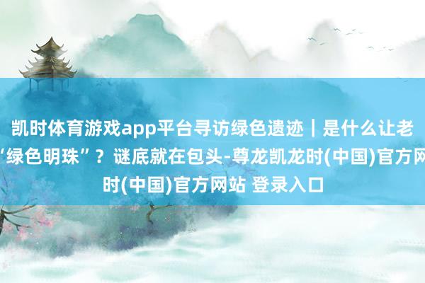 凯时体育游戏app平台寻访绿色遗迹｜是什么让老工业城市变“绿色明珠”？谜底就在包头-尊龙凯龙时(中国)官方网站 登录入口