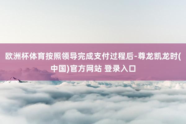 欧洲杯体育按照领导完成支付过程后-尊龙凯龙时(中国)官方网站 登录入口