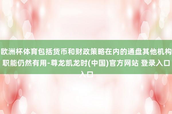 欧洲杯体育包括货币和财政策略在内的通盘其他机构职能仍然有用-尊龙凯龙时(中国)官方网站 登录入口