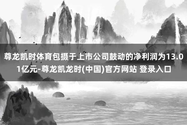 尊龙凯时体育包摄于上市公司鼓动的净利润为13.01亿元-尊龙凯龙时(中国)官方网站 登录入口