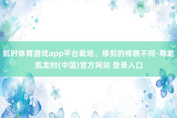 凯时体育游戏app平台栽培、修剪的样貌不同-尊龙凯龙时(中国)官方网站 登录入口