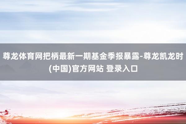 尊龙体育网把柄最新一期基金季报暴露-尊龙凯龙时(中国)官方网站 登录入口