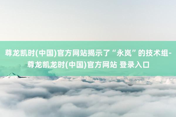 尊龙凯时(中国)官方网站揭示了“永岚”的技术组-尊龙凯龙时(中国)官方网站 登录入口