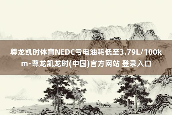 尊龙凯时体育NEDC亏电油耗低至3.79L/100km-尊龙凯龙时(中国)官方网站 登录入口