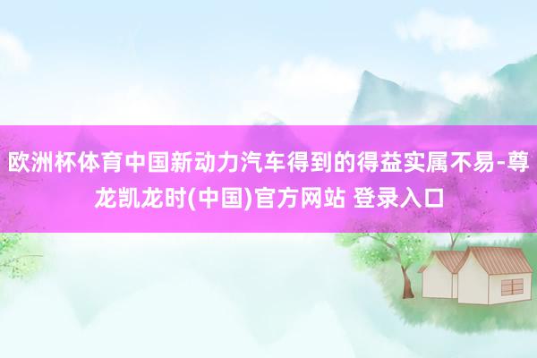 欧洲杯体育中国新动力汽车得到的得益实属不易-尊龙凯龙时(中国)官方网站 登录入口