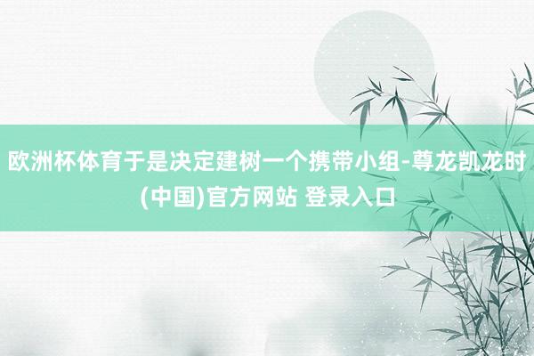 欧洲杯体育于是决定建树一个携带小组-尊龙凯龙时(中国)官方网站 登录入口