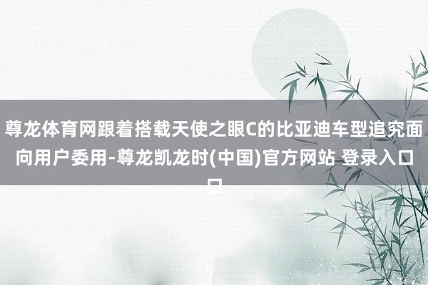 尊龙体育网跟着搭载天使之眼C的比亚迪车型追究面向用户委用-尊龙凯龙时(中国)官方网站 登录入口