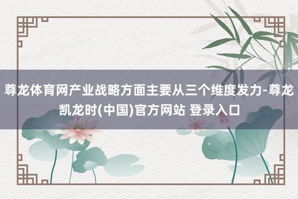 尊龙体育网产业战略方面主要从三个维度发力-尊龙凯龙时(中国)官方网站 登录入口