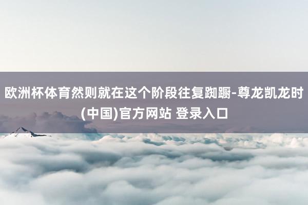 欧洲杯体育然则就在这个阶段往复踟蹰-尊龙凯龙时(中国)官方网站 登录入口