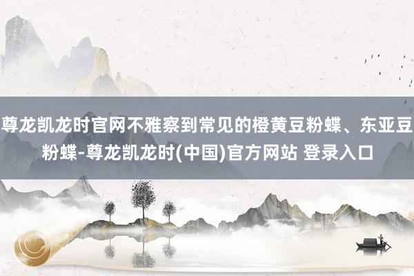 尊龙凯龙时官网不雅察到常见的橙黄豆粉蝶、东亚豆粉蝶-尊龙凯龙时(中国)官方网站 登录入口