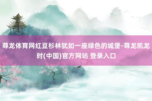 尊龙体育网红豆杉林犹如一座绿色的城堡-尊龙凯龙时(中国)官方网站 登录入口