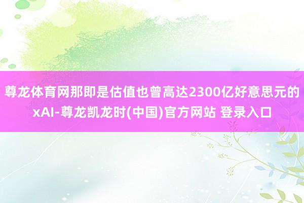 尊龙体育网那即是估值也曾高达2300亿好意思元的xAI-尊龙凯龙时(中国)官方网站 登录入口