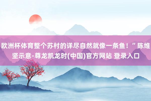 欧洲杯体育整个苏村的详尽自然就像一条鱼！”陈维坚示意-尊龙凯龙时(中国)官方网站 登录入口