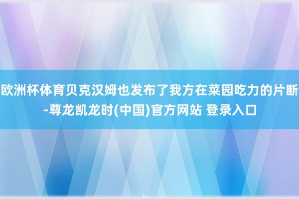 欧洲杯体育贝克汉姆也发布了我方在菜园吃力的片断-尊龙凯龙时(中国)官方网站 登录入口